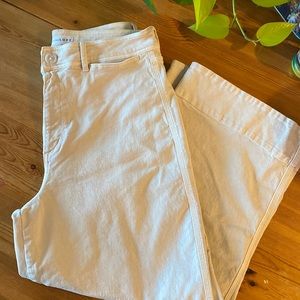 Loft Curvy High Waist Wide Leg Pants, oatmeal, size 31